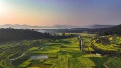 Yunnan Weather Guide for May: Essential Travel Meteorological Tips for Tourists