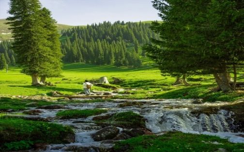 How to Visit Nalati Grassland: Complete Guide to Aerial Grassland, River Valley & Panlong Valley Road