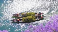 Yunnan March Spring Travel - Perfect Weather for an Ultimate Secret Realm Exploration Guide