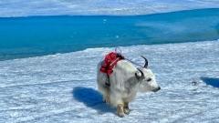 South Xinjiang Group Tour and Taklamakan Desert Adventure