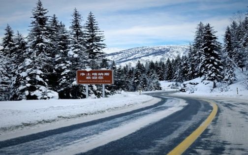 喀纳斯 神的自留地❄️_1_山野📷_来自小红书网页版