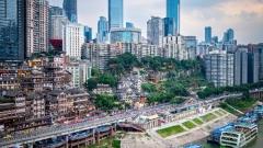 6-Day China Adventure: Chengdu Pandas, Leshan Giant Buddha & Chongqing