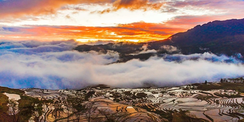 Yunnan's Terraced Fields