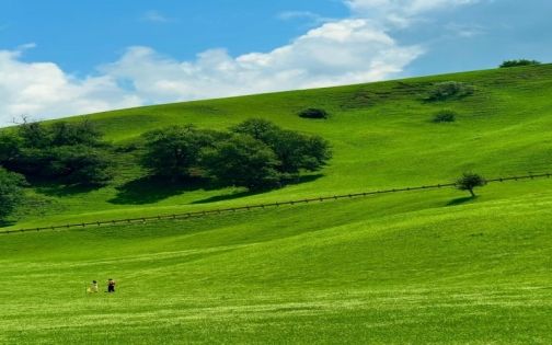 How to Visit Nalati Grassland: Complete Guide to Aerial Grassland, River Valley & Panlong Valley Road