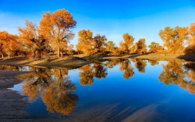 South Xinjiang Group Tour and Taklamakan Desert Adventure