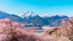 Nyingchi Travel Guide - A Complete Journey Through Tibetan Hidden Paradise