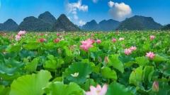 The Wizard of Oz, Overture to Midsummer: A Complete Travel Guide to Yunnan in June