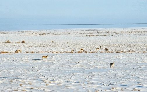 新春旅行第二弹——S21沙漠公路_2_想当脱脂牛马的全脂牛马_来自小红书网页版