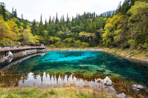 6-Day Nature Tour: Chongqing, Wulong Karst & Jiuzhaigou Valley