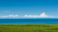 Qinghai Lake: The Most Practical Guide for First-Time Visitors