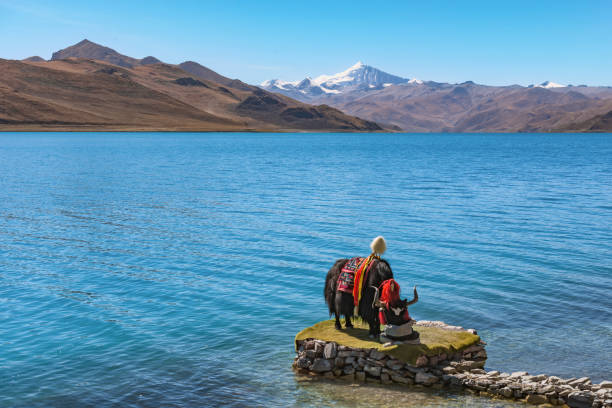 5-Day In-Depth Tour of Tibet: From Lhasa to Yamdrok Lake