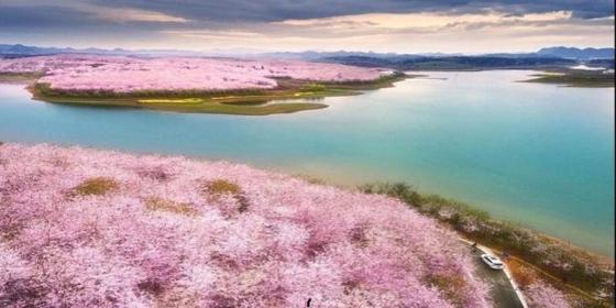 Guizhou Travel Season Guide: Explore Colorful Guizhou Year-Round