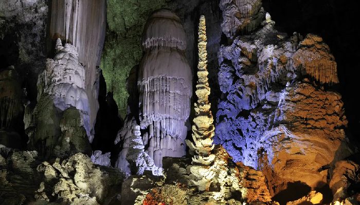 Silver Rain Tree in Zhijin Cave