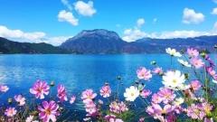 Yunnan Travel Guide for July: Summer Rains & Flaming Secrets