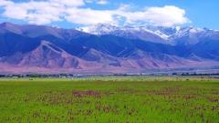 How to Explore Xinjiang Hami: Food, Accommodation, Transportation and Activities