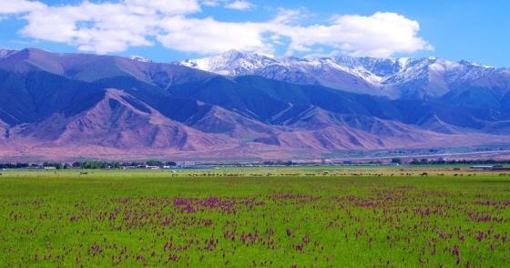 How to Explore Xinjiang Hami: Food, Accommodation, Transportation and Activities