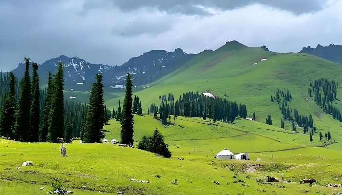 Northern Xinjiang Landscape