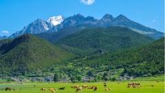Lijiang Altitude Travel Guide: Enjoy the Plateau Secret Land with Peace of Mind
