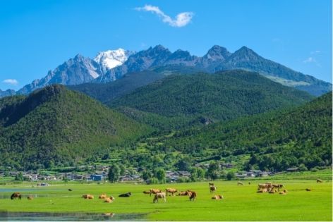 Lijiang Altitude Travel Guide: Enjoy the Plateau Secret Land with Peace of Mind