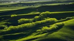 How to Visit Nalati Grassland: Complete Guide to Aerial Grassland, River Valley & Panlong Valley Road