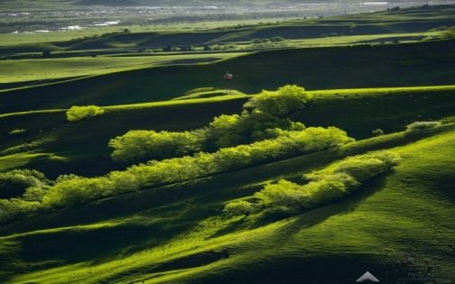 How to Visit Nalati Grassland: Complete Guide to Aerial Grassland, River Valley & Panlong Valley Road