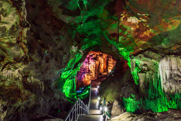 4-Day Chongqing & Wulong Tour: Karst Landscapes and City Life Adventure