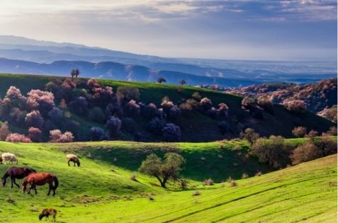 Travel Guide | A Climate Guide for Spring Wandering in the Western Regions