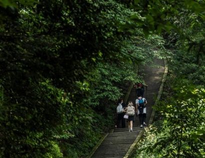 Emei Mountain Hiking: Exploring the Elegant Scenery of Sichuan Amidst the Sea of Clouds