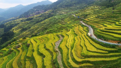 Best Time to Visit Guizhou: A Comprehensive Four-Season Travel Guide