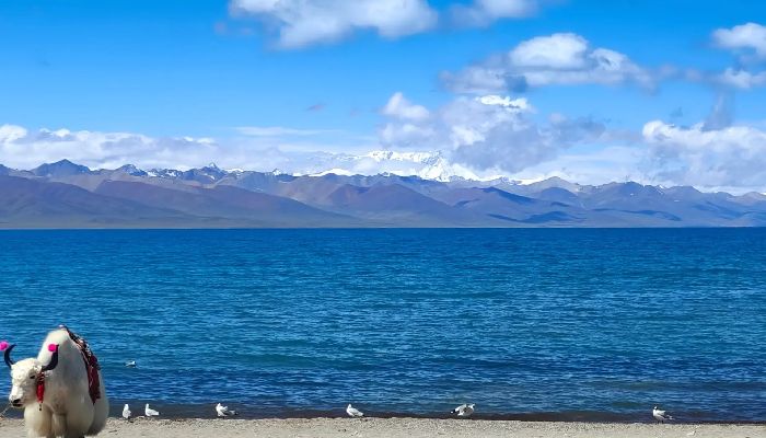 Lake Namtso