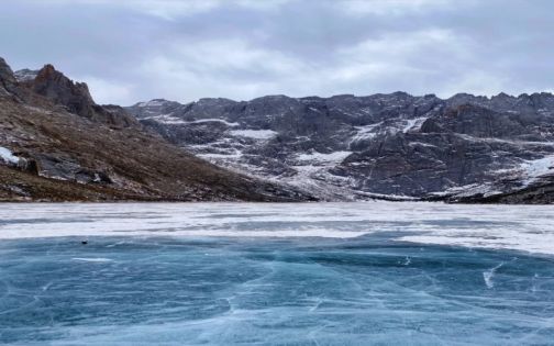 冬季的莲宝叶则透着寒风凛冽的气息_1_漫迹_来自小红书网页版