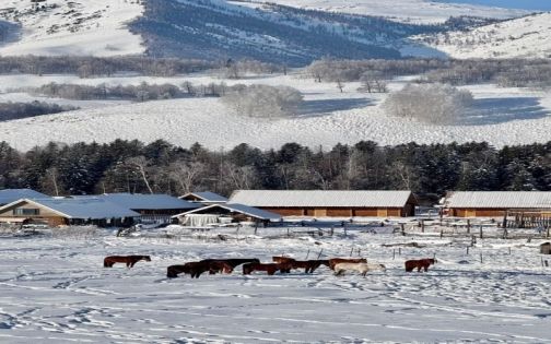❄️ Hemu Village: The Winter Nordic Wonderland of China