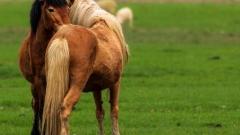 Yunnan Weather in June: The Gentle Charm of the Secret Land During Rainy Season