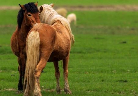 Yunnan Weather in June: The Gentle Charm of the Secret Land During Rainy Season