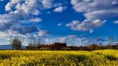 January Weather in Yunnan Lijiang: Weather Guide & Cold Protection Tips