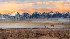 The Ultimate Practical Travel Guide to the Southern Xinjiang Pamir Plateau