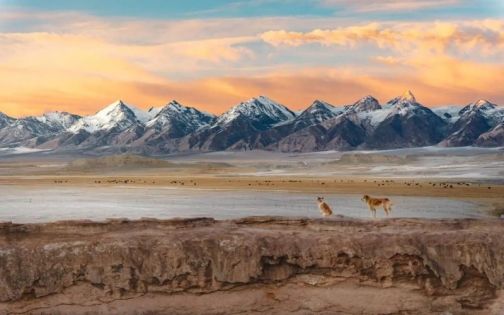 The Ultimate Practical Travel Guide to the Southern Xinjiang Pamir Plateau