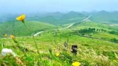 Urumqi Weather Travel Guide: Climate Characteristics + Weather Response + Itinerary Guarantee