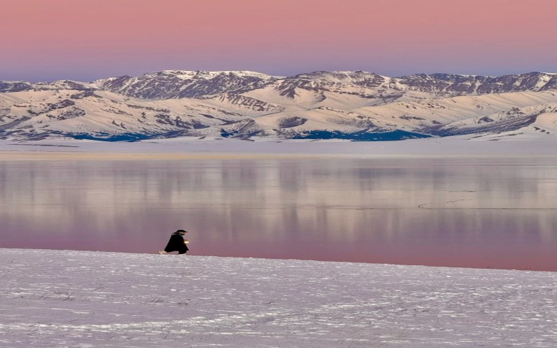 Frozen: A 10-Day Journey to Almaty, Northern Xinjiang