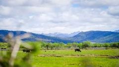 Yunnan Weather Guide for August: Perfect Time for Summer and Scenery Appreciation