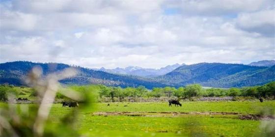 Yunnan Weather Guide for August: Perfect Time for Summer and Scenery Appreciation