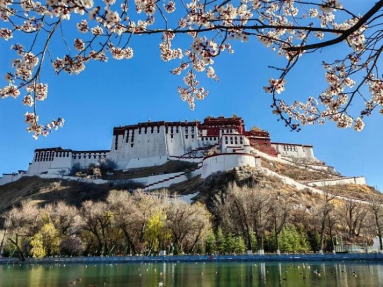 Spring in Lhasa