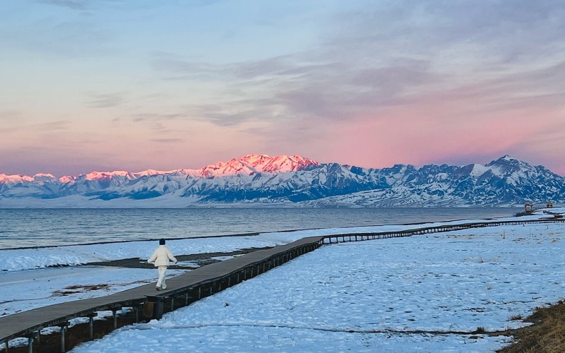 Limited edition: Xinjiang Apricot Blossom 10 days
