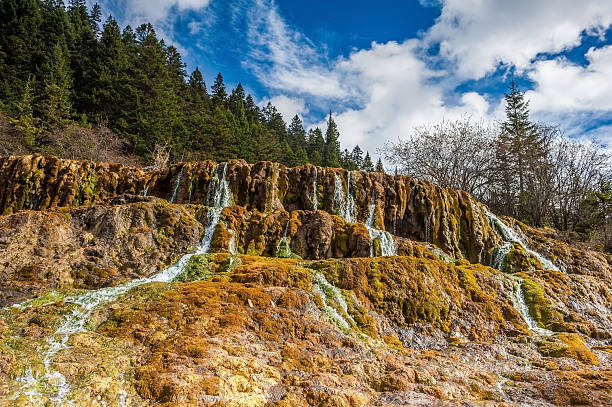 6-Day Nature Tour: Chongqing, Wulong Karst & Jiuzhaigou Valley