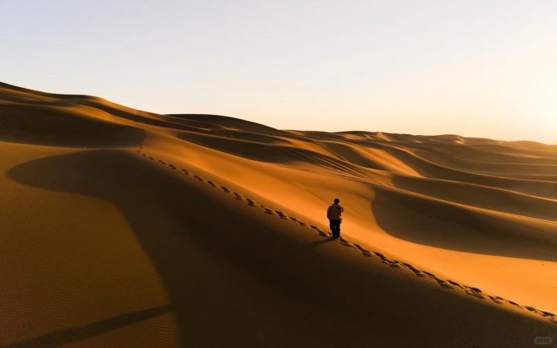 Limited edition: Xinjiang Apricot Blossom 10 days