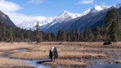 Complete Guide to Tibet's January Weather: Essential Tips for Winter Travel on the Plateau