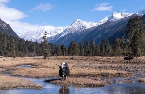 Complete Guide to Tibet’s January Weather: Essential Tips for Winter Travel on the Plateau