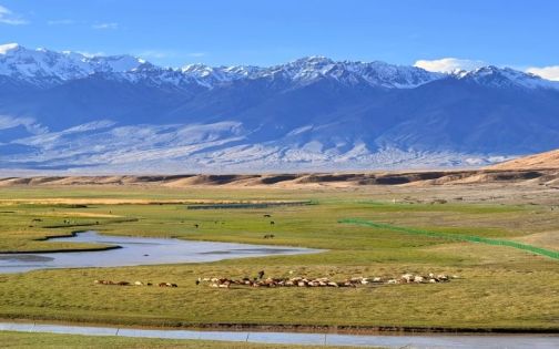 绝美～塔合曼湿地_1_很爱吃吃喝喝的大头🌿_来自小红书网页版