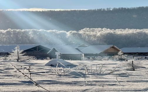 ❄️ Hemu Village: The Winter Nordic Wonderland of China