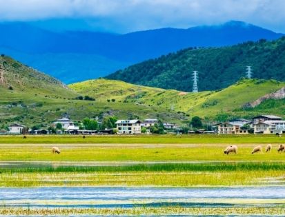Napahai Nature Reserve: An Ecological Secret Realm and Cultural Scroll on the Northwestern Yunnan Plateau